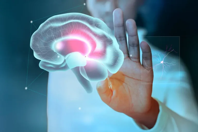 Neuroeducação como o cérebro aprende